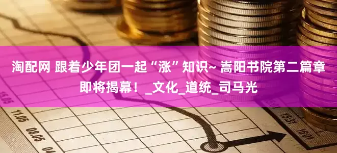 淘配网 跟着少年团一起“涨”知识~ 嵩阳书院第二篇章即将揭幕！_文化_道统_司马光